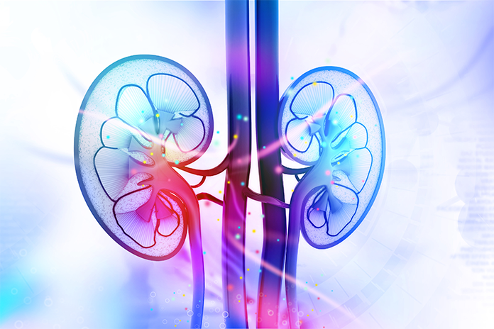 Can Acupuncture and Traditional Chinese Medicine Help With Kidney Health
